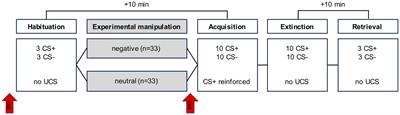 Low Perceived Self-Efficacy Impedes Discriminative Fear Learning